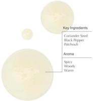 Aesop Coriander Seed Body Cleanser 500 ml - thumbnail