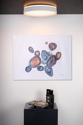 Lucide NURIA - Plafonnière - Ø 40 cm - LED 3 StepDim - 1x24W 2700K - Wit