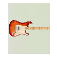 Fender American Professional II Stratocaster Sienna Sunburst MN elektrische gitaar met koffer - thumbnail