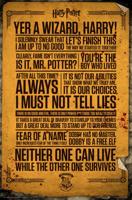 Poster Harry Potter - Quotes 61x91,5cm - thumbnail