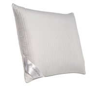 Ducky Dons Hoofdkussen 60% Eendendons - thumbnail