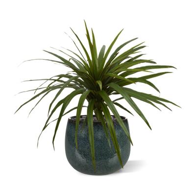 Draceana Marginata kunstplant 50cm