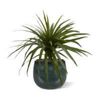 Draceana Marginata kunstplant 50cm - thumbnail