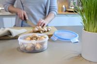 Tefal masterseal vershouddoos rond 0,85l - thumbnail