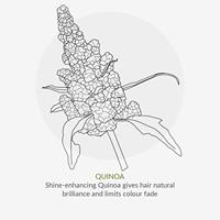 Green People Conditioner artichoke & quinoa 200 Milliliter - thumbnail