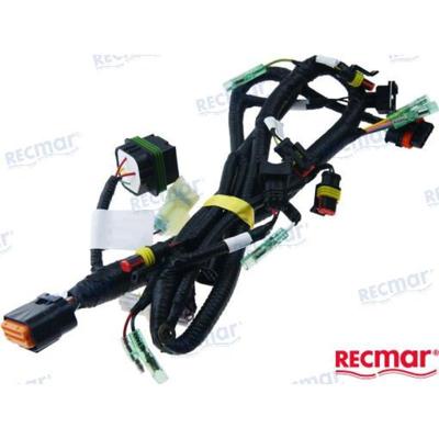 PAF20-05001700WEFI-A - EBW,FW STARTER ECU-KABELBOOM