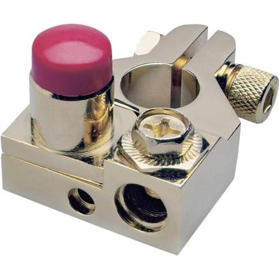 Sinuslive 13418 BKS + Accupoolklem Pluspool Verguld 1 stuk(s) Sinuslive 13418 BKS + Accupoolklem Pluspool Verguld 1 stuk(s)