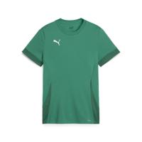 PUMA teamGOAL Voetbalshirt Kids Groen Wit - thumbnail