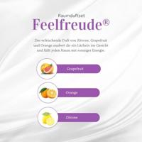 Geurstokjes feelfreude bio demeter 50 Milliliter - thumbnail