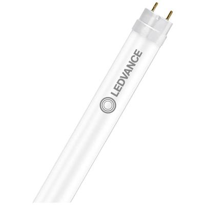 LEDVANCE LED-buis-Buis Energielabel: C (A - G) G13 T8 15.6 W Neutraalwit 1 stuk(s) (Ø x l) 26.7 mm x 1212 mm Conventioneel voorschakelapparaat, Verliesarm