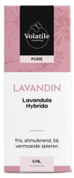 Volatile Lavandin - thumbnail