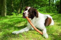 BZ SUMO FIT STICK GRN 50X3X3 - thumbnail