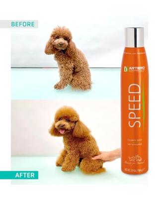 Artero speed droogshampoo spray