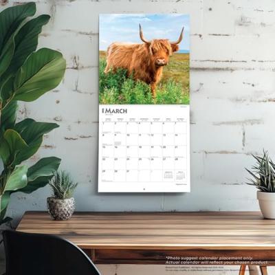 Schotse Hooglander Kalender 2026