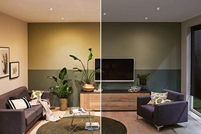 Paulmann 93385 LED-inbouwlamp LED LED vast ingebouwd 19.5 W Wit, IJzer Paulmann 93385 LED-inbouwlamp LED LED vast ingebouwd 19.5 W Wit, IJzer