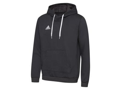 Adidas Entrada 22 Hoodie