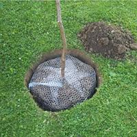 Siena Garden Woelmuiskorf 1 stuk(s) - thumbnail