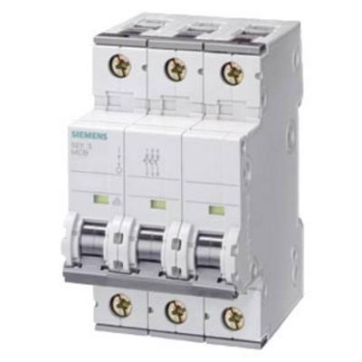 Siemens 5SY43406 5SY4340-6 Zekeringautomaat 40 A 230 V, 400 V