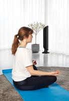 Rowenta SO9420 Ventilatorkachel - thumbnail