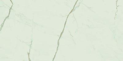 Exigo Calacatta gepolijst 30x60 rett