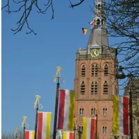 Alexsar Art Tuinschilderij Sint Jan Carnaval 50x50cm - thumbnail