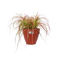 Elho vibia campana bloempot rond 55 cm brique - thumbnail