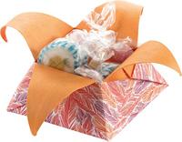 Vouwblaadjes folia 80gr 15x15cm 50v 2z wildlife - thumbnail