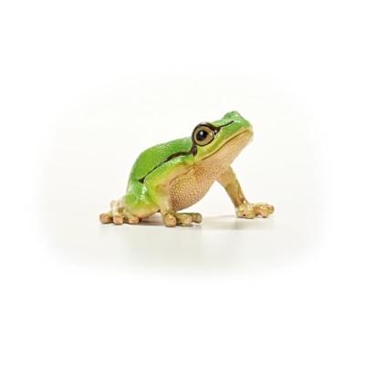 Schleich Europese boomkikker 14882