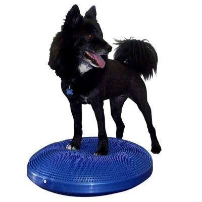 FitPAWS Dierenbalansschijf 56 cm blauw FitPAWS Dierenbalansschijf 56 cm blauw