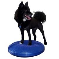 FitPAWS Dierenbalansschijf 56 cm blauw - thumbnail