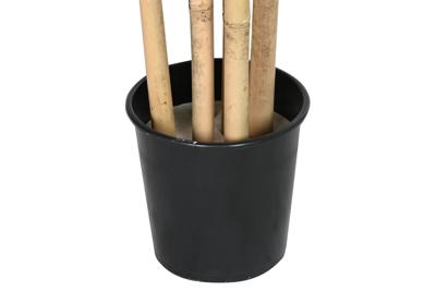 Boomstructuur Home ESPRIT Polyester Bamboe 80 x 80 x 180 cm