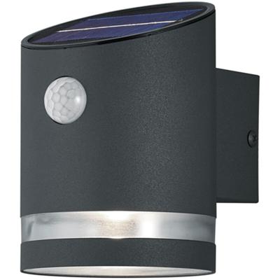 LED Tuinverlichting - Buitenlamp - Trion Salty - Wand - 3W - Warm Wit 3000K - Rond - Mat Zwart - RVS