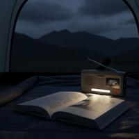 Marmitek RESQ 100 Noodradio DAB radio Grijs - thumbnail