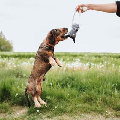 Hondenspeelgoed Hunter NEBRASKA Grijs Paard