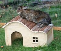 Knaagdierenhuis - KERBL - Natuur - Gebogen dak - 40 x 25 x 25 cm - thumbnail