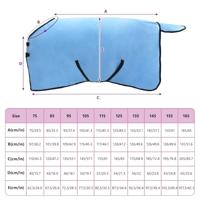 VidaXL Paardendeken volledige aqua polyester - thumbnail