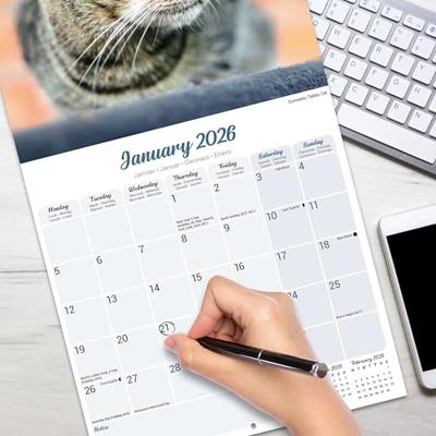 Cats Calendar 2026 Square Cat Wall Calendar - 16 Month