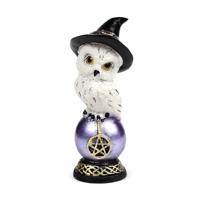 Wise Old Magical Owl op regenboogglans Uil - thumbnail