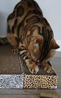 Croci krabplank homedecor dierenprint luipaard - thumbnail
