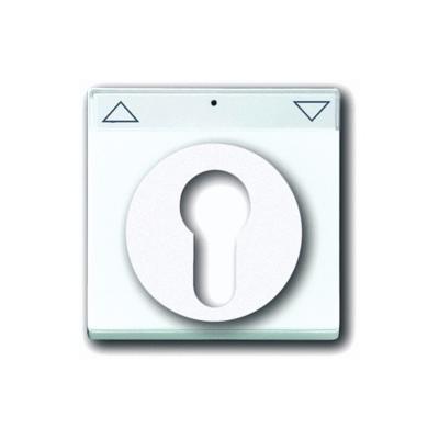 Busch-Jaeger 2CKA001710A3175 Sleutelschakelaar, Sleuteltoets Afdekking Axcent Wit, Verkeerswit 1 stuk(s) Busch-Jaeger 2CKA001710A3175 Sleutelschakelaar, Sleuteltoets Afdekking Axcent Wit, Verkeerswit 1 stuk(s)