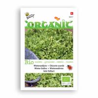Zaden Organic Andijvie Gele Volhart (BIO) Buzzy - Buzzy - thumbnail