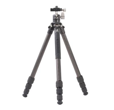 Leofoto EF-224C + LH-25 Balhoofd