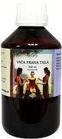 Holisan Vata prana taila ayurveda 250 Milliliter - thumbnail