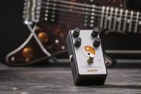 Warm Audio Warmdrive - thumbnail