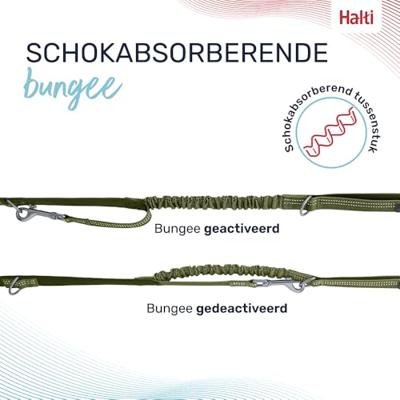 Hondenriem Company of Animals Groen S