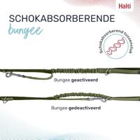 Hondenriem Company of Animals Groen S - thumbnail