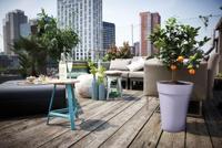 Bloempot - Elho - Loft Urban Round - Hoogte 35 - Paars - L 34 x B 33,5 x H 45 cm - Buiten - 100% gerecycled - thumbnail