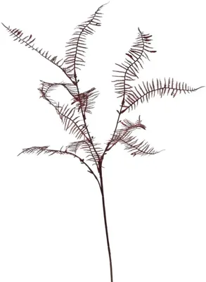 Pure Royal kunsttak varen 75cm rood