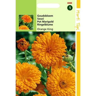 Calendula Off. Dubbel Oranjekoning - Hortitops