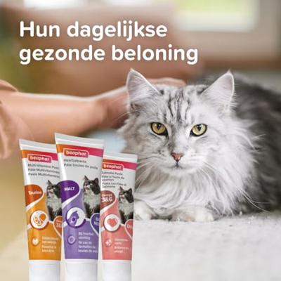 BEAPHAR HAARBALPASTA MET MALT DUO-ACTIVE